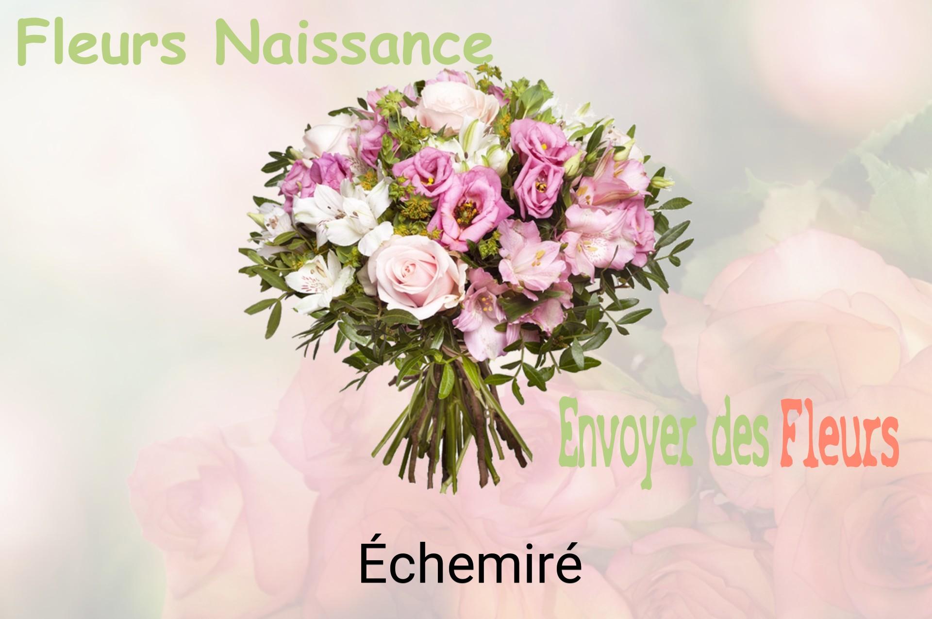 Bouquet de fleurs de naissance livré à Échemiré